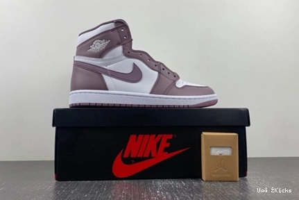 Retro 8885  1 Compact OG Jordan Sky 125 DZ5485- Mauve High J 0818